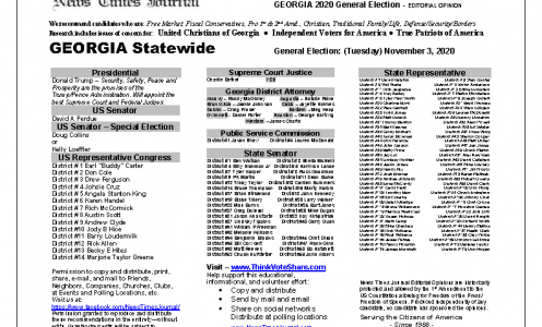 GA Statewide 2020 General