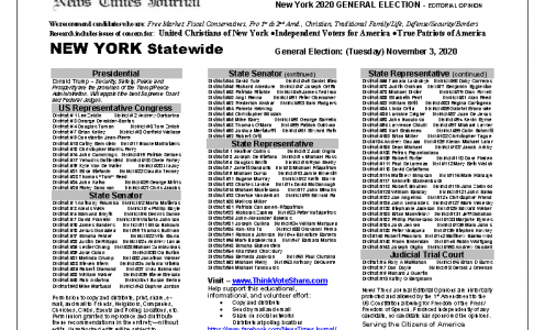 NY Statewide 2020 General