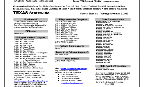 TX Statewide 2020 General