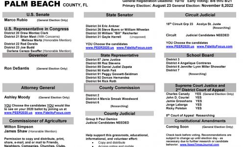 FL Palm Beach 2022 Primary