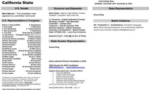 CA Statewide 2022 General