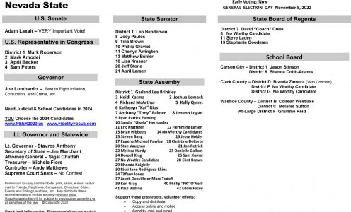 NV Statewide 2022 General