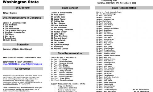 WA Statewide 2022 General