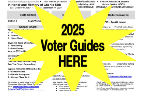 Voter Guides 2025 by State