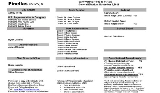Pinellas County Florida General Election Voting Guide 2026